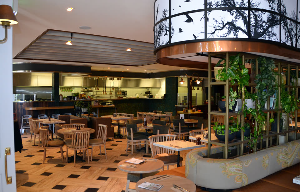 Modern restaurant dining room from a completed Leonay Plumbing project