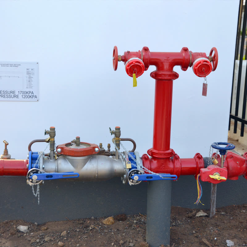Newly installed fire hydrant and backflow prevention valve assembly